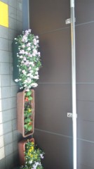 【お題日記】父の日に贈るならどんなもの？