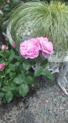 【お題日記】1度は会ってみたい人！