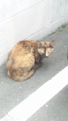 【お題日記】いい人ってどんな人？