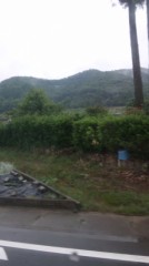 【お題日記】台風の日はどう過ごす？