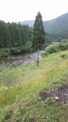 【お題日記】最近よくみるテレビ番組