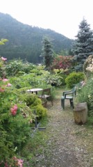 【お題日記】あなたは最近、小説を読んでいますか？