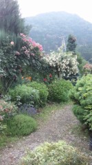 【お題日記】どうして気が緩むんだろう？