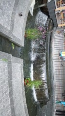 【お題日記】みんな、恋してる？