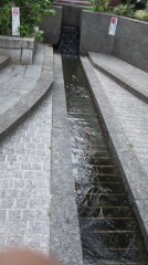 【お題日記】どんな風に暑さをしのいでいますか？