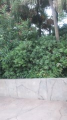 【お題日記】お気に入りの公園を紹介して下さい♪