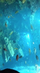 【お題日記】夏にデートしたい場所