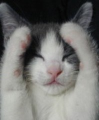 【お題日記】狙った獲物はどうするのがベスト！？