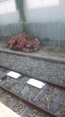 【お題日記】わたしの中のもう一人のわたし！