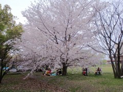 【お題日記】作ってもらいたい手料理は何？