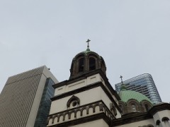 筍が出てきただょ