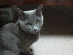 ぶちぃっと一発