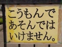 アナリストからの提言