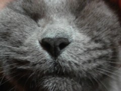 【お題日記】エロイプってしたことある？