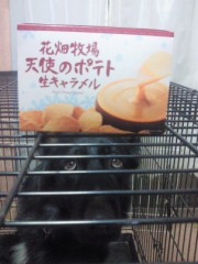 遅ればせながら