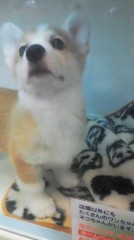 惚れちゃったわ～