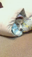 知ってしまったのね