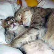 【お題日記】１日が24時間以上有ったらな一