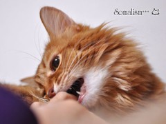 小学校の先生と・・・☆