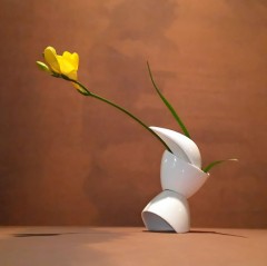 暇を持て余している方、こんな楽しみも!