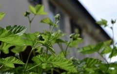 春は、もう少し先