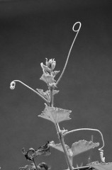 ふと外に目をやると