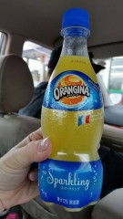 【お題日記】そういえば最近見なくなったなと思うもの