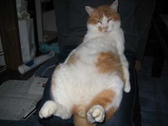 注射はともかく、三連休もうすぐ♪