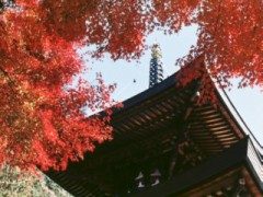 寒くなってきた～