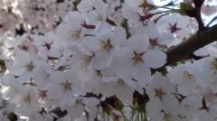 【お題日記】疲れた時のリフレッシュ法