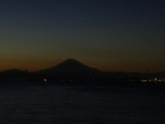 今日は休みでした～