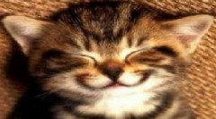 【お題日記】恋人との記念日、大事にする？・・・どうだろう？編　ｗ