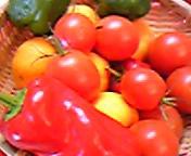 連休( ^^)Y ☆Y(^^ )