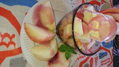 【お題日記】この夏に行った場所