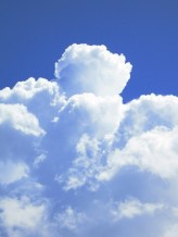 緑の季節から青い季節へ