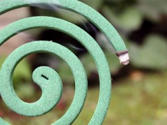 いろいろあるなぁ…