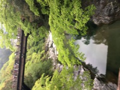 派はないです！