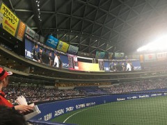 野球観戦！