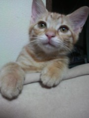 ユニフォームGET ☆