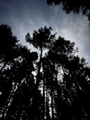 プライベートキャンプ場