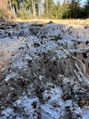 プライベートキャンプ場