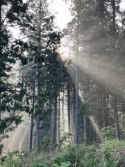 プライベートキャンプ場