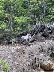 プライベートキャンプ場71