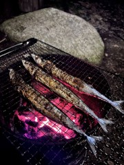 プライベートキャンプ場