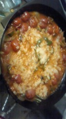 ヾ(=^▽^=) ノこんにちは！