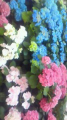 ヾ(=^▽^=) ノこんばんは！