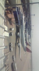 こんにちは( ・∀・)ノ