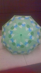 こんばんは！( ・∀・)ノ