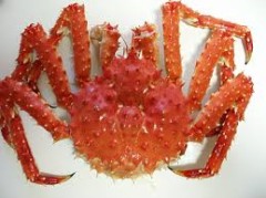 【お題日記】好きな魚介類、ベスト3