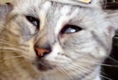 居眠り運転した人いる～？ 最後はやっぱりエロだよね。